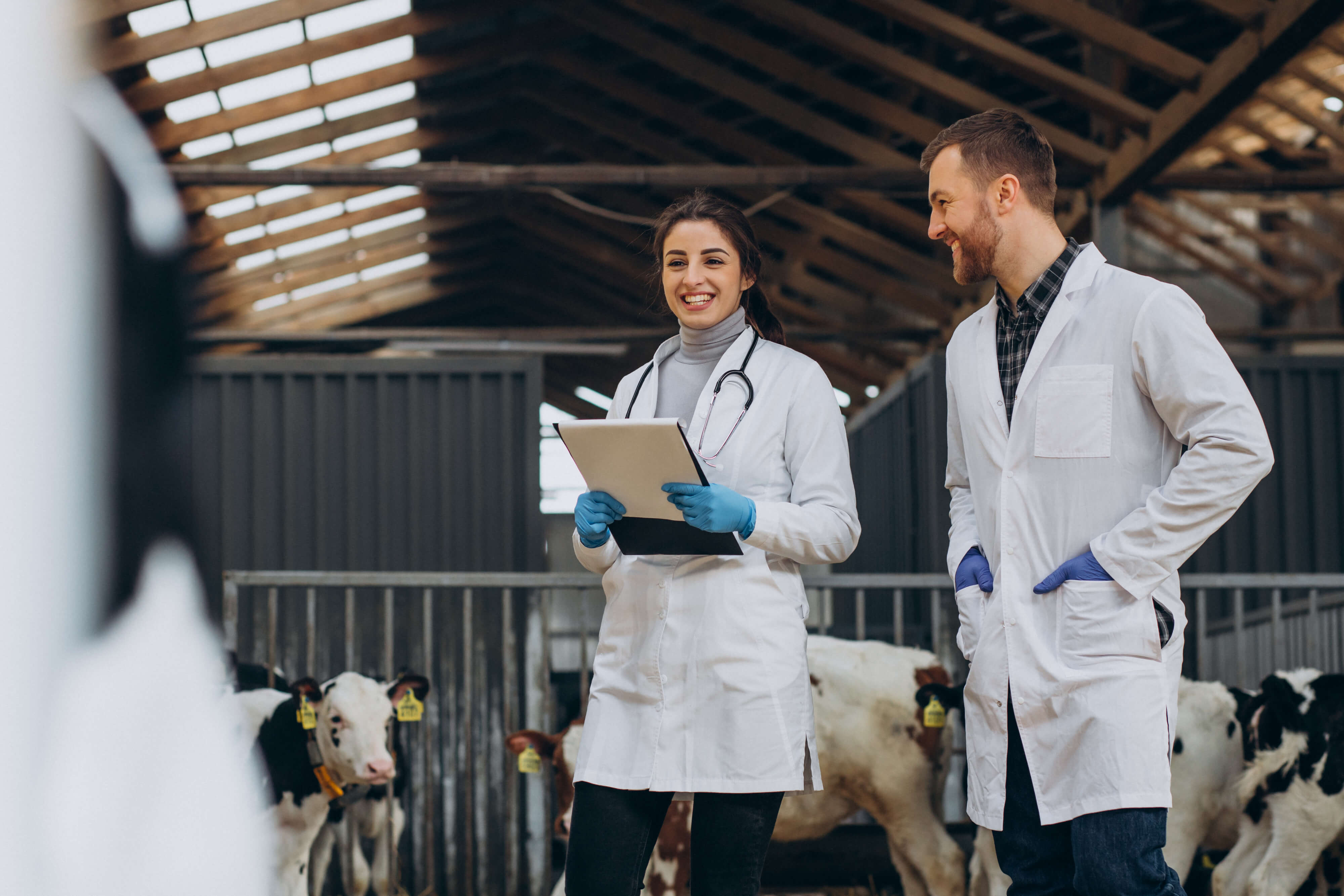 Ferramentas de produtividade essenciais para veterinários