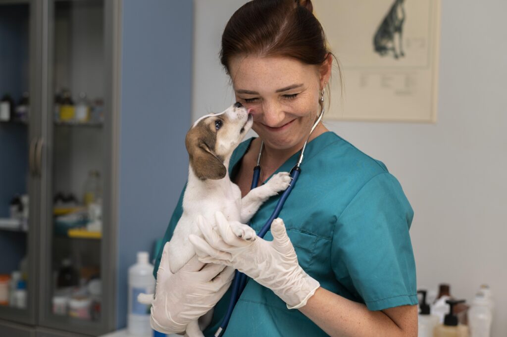 Leveza no trabalho veterinário: se divertir enquanto trabalha não é falta de compromisso
