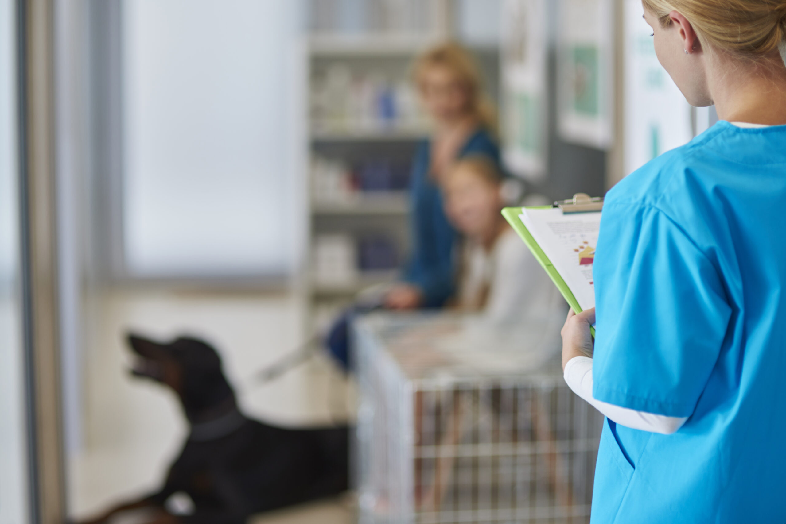 Equipe analisando indicadores financeiros de um hospital veterinário