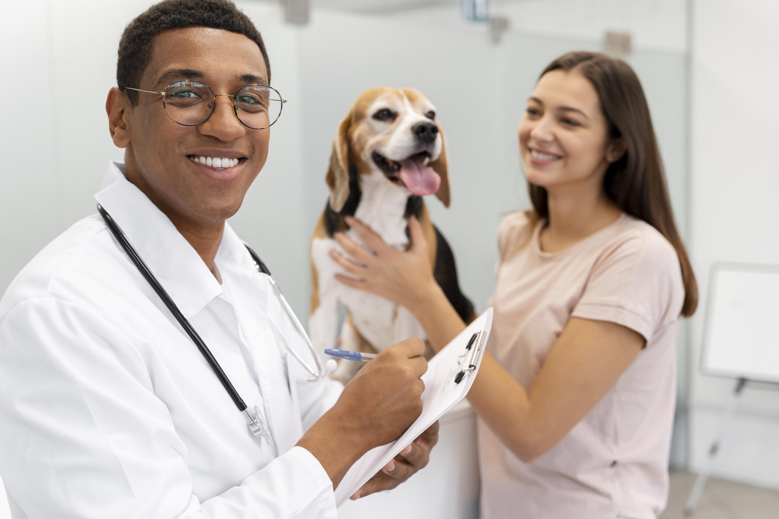 Médico veterinário em atendimento, representando seu papel na saúde pública